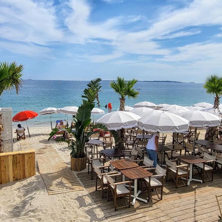 Beau T2 à Golfe-Juan vue piscines parc tropical Résidence du Golf proches plages - Apartment mit 1 Schlafzimmer - 27