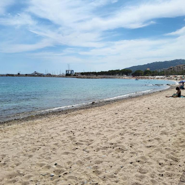 Beau T2 à Golfe-Juan vue piscines parc tropical Résidence du Golf proches plages - Apartment mit 1 Schlafzimmer - 42