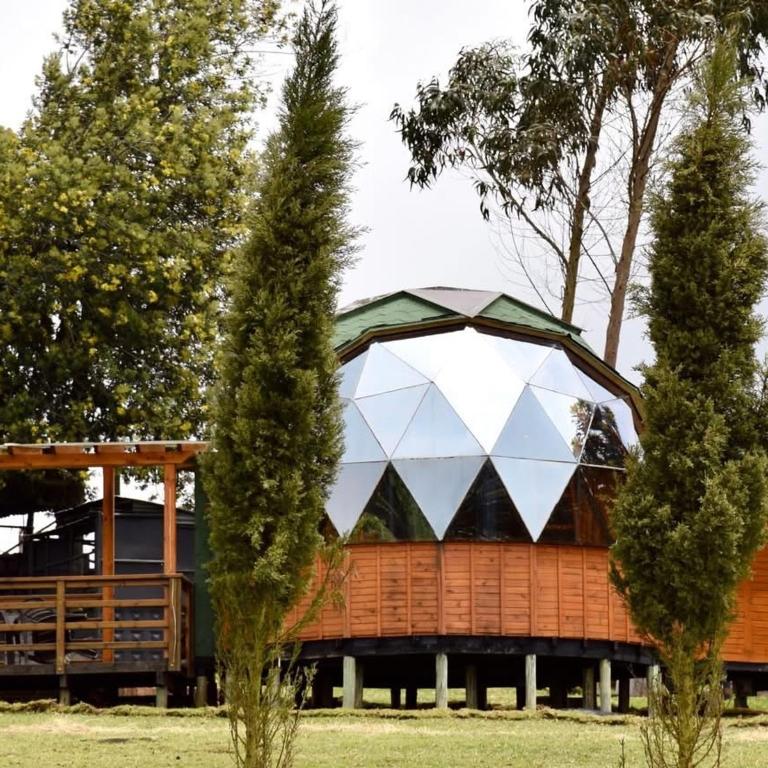 Villa Rebequita - Deluxe Bungalow - 1