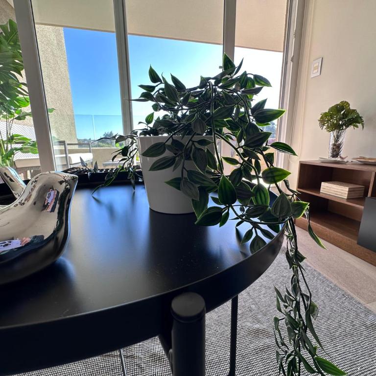 Lindo y Acogedor depto Algarrobo - Two-Bedroom Apartment - 16