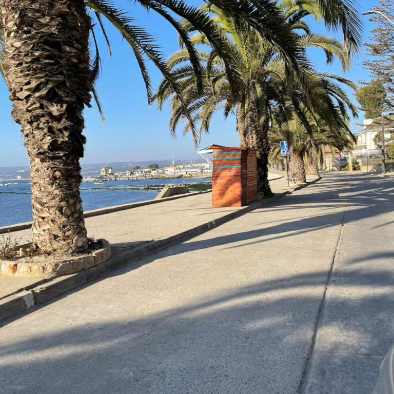 Lindo y Acogedor depto Algarrobo - Two-Bedroom Apartment - 68