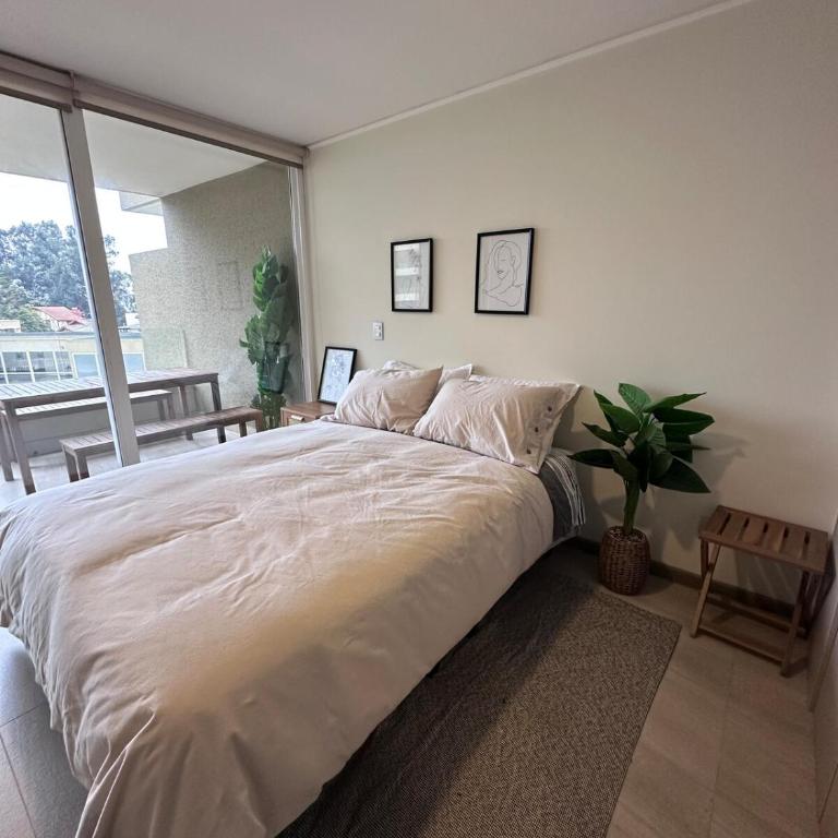 Lindo y Acogedor depto Algarrobo - Two-Bedroom Apartment - 53