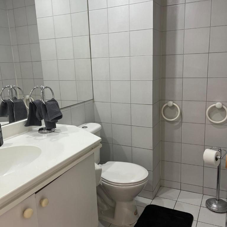 Cozy apartment in the center of Providencia, Acogedor departamento en el centro de Providencia - Apartment - 9