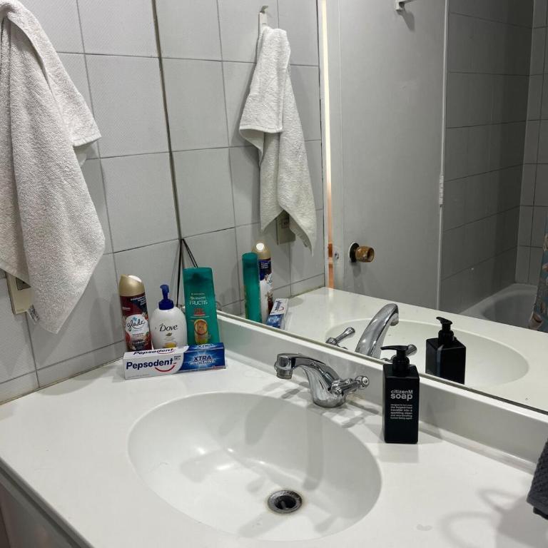 Cozy apartment in the center of Providencia, Acogedor departamento en el centro de Providencia - Apartment - 13