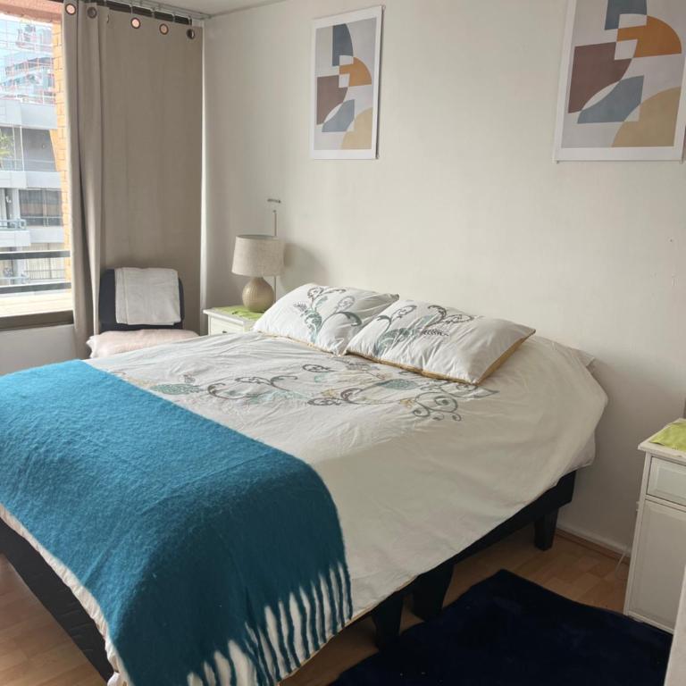 Cozy apartment in the center of Providencia, Acogedor departamento en el centro de Providencia - Apartment - 16