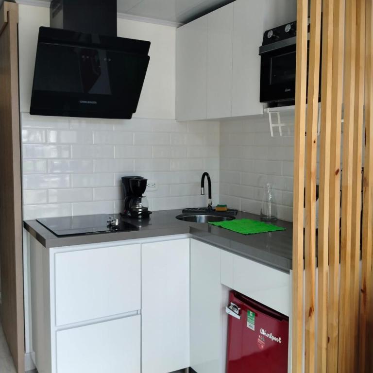 Moderno Loft Campin- Movistar Arenas - One-Bedroom Apartment - 32