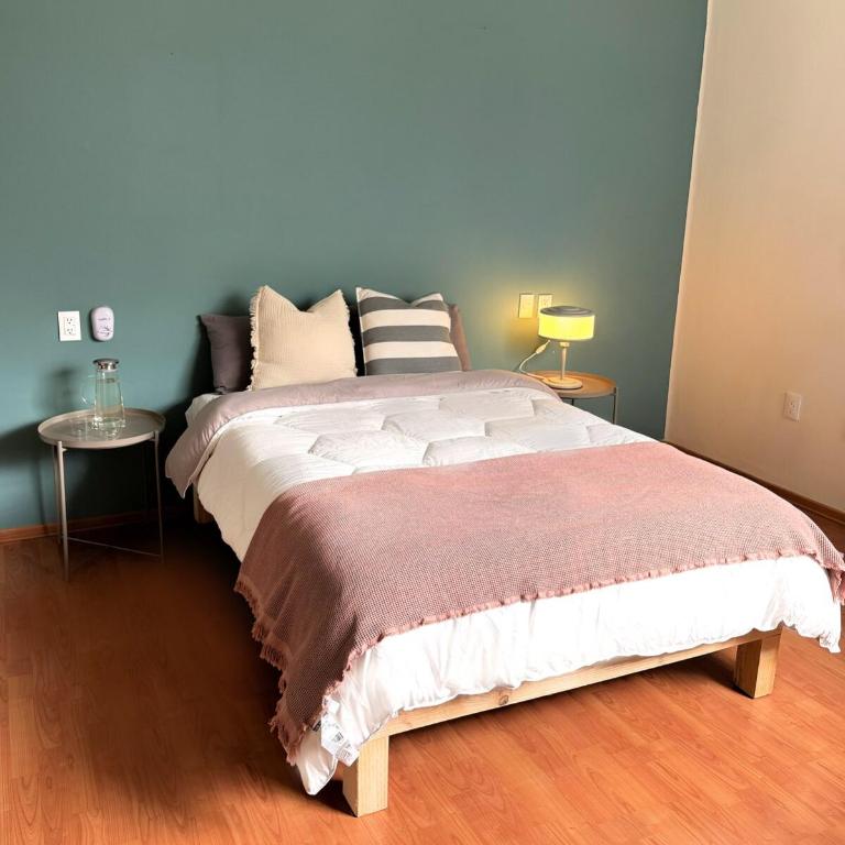 Beautiful Loft in the heart of colonia Americana - Two-Bedroom House - 8