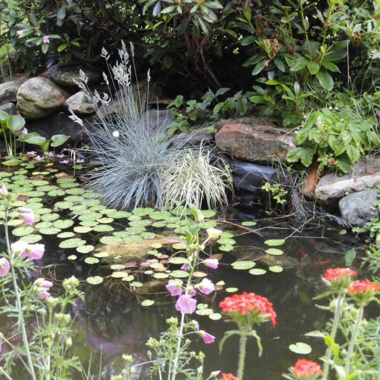 Ruhige Wohnung mit schönem Eigengarten in Seeboden am Millstättersee - Apartment mit 2 Schlafzimmern - Erdgeschoss - 33