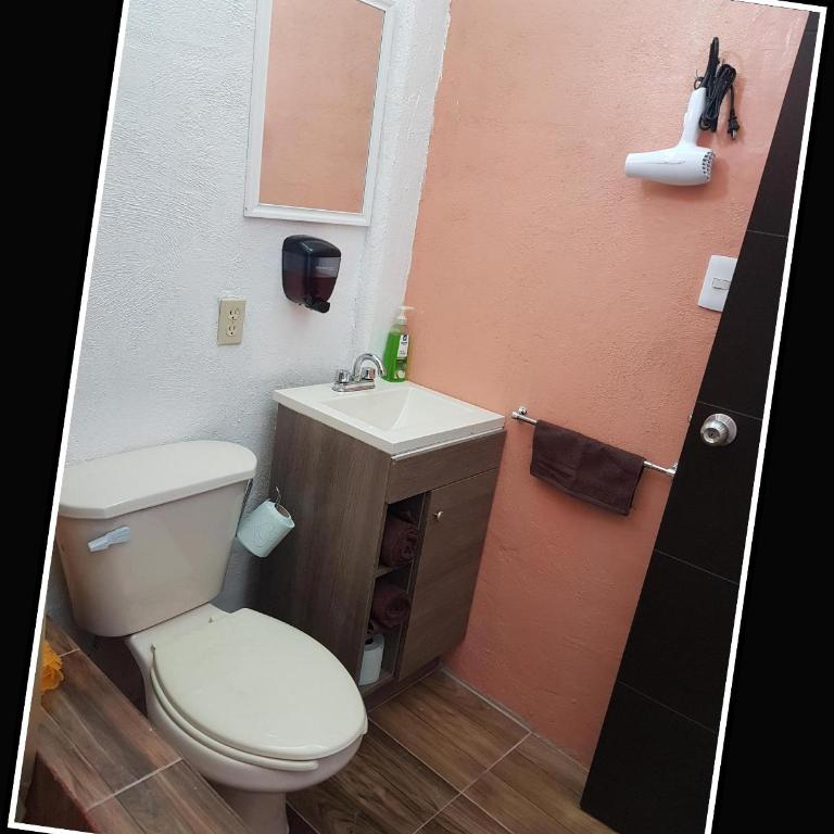 Parque Residencial Bello Departamento 204 - rentaflex - Apartamento de 1 dormitorio - 8