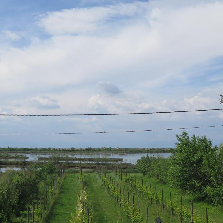 Tenuta Lio Maggiore - Appartamento con 1 Camera da Letto - 5