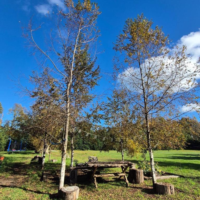 Casa Campo Km4 Panguipulli - Three-Bedroom Apartment - 2