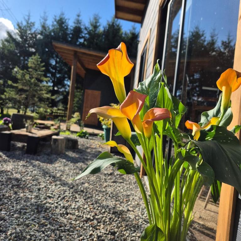 Casa Campo Km4 Panguipulli - Three-Bedroom Apartment - 21