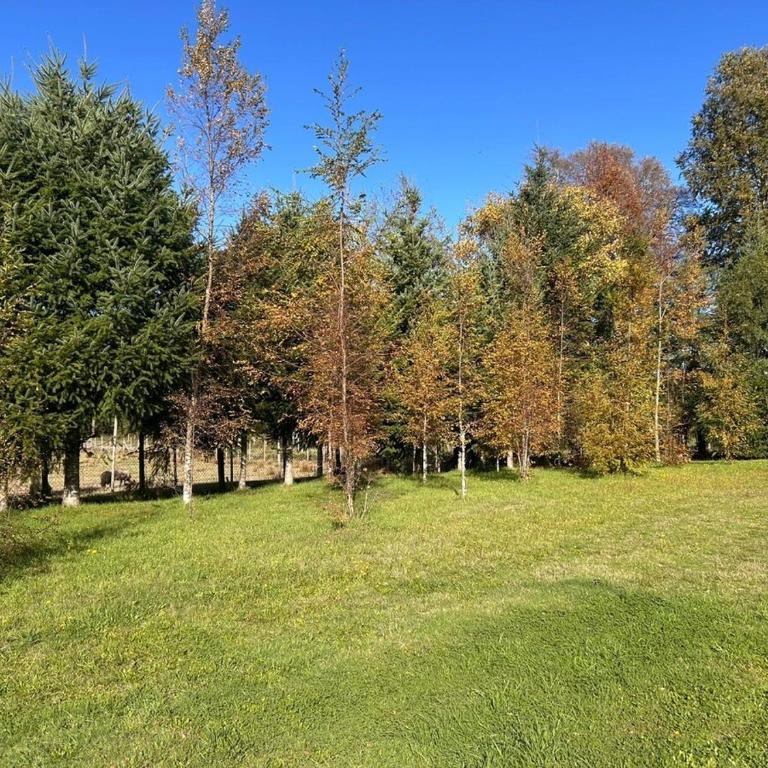 Casa Campo Km4 Panguipulli - Three-Bedroom Apartment - 23