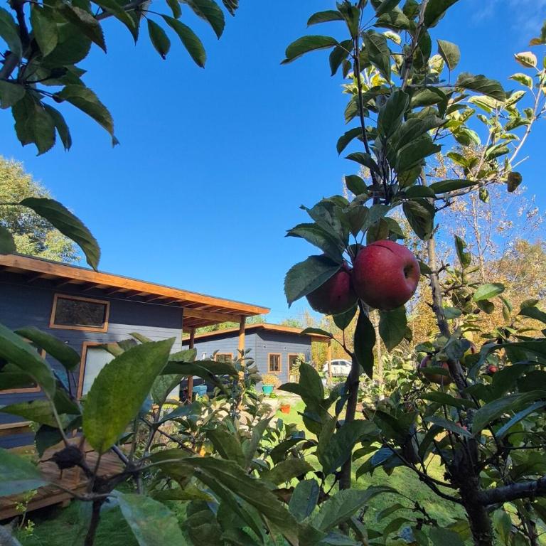 Casa Campo Km4 Panguipulli - Three-Bedroom Apartment - 29
