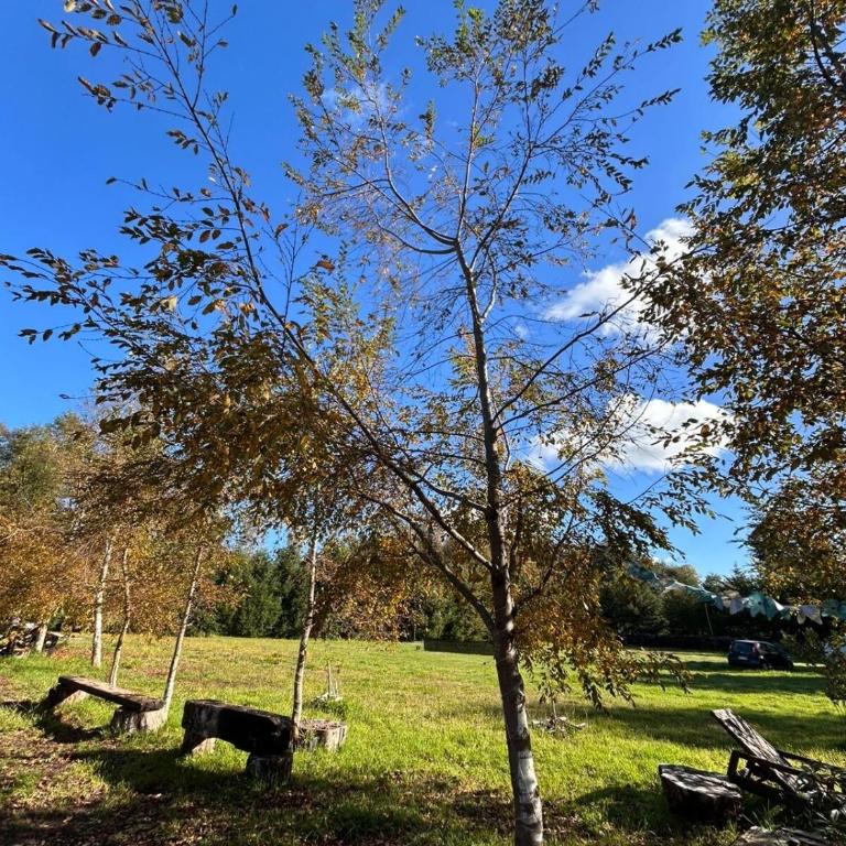 Casa Campo Km4 Panguipulli - Three-Bedroom Apartment - 31