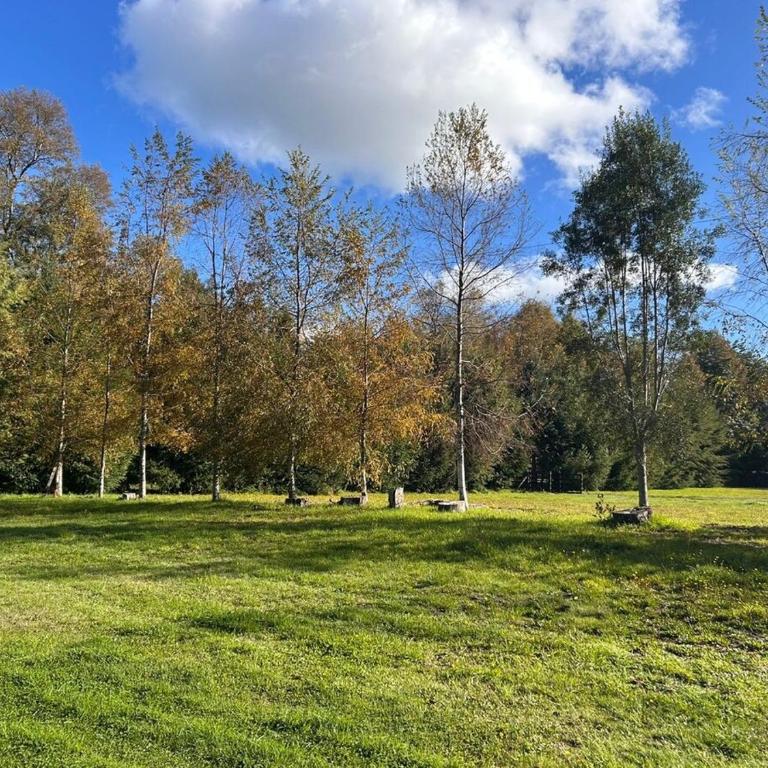 Casa Campo Km4 Panguipulli - Three-Bedroom Apartment - 37