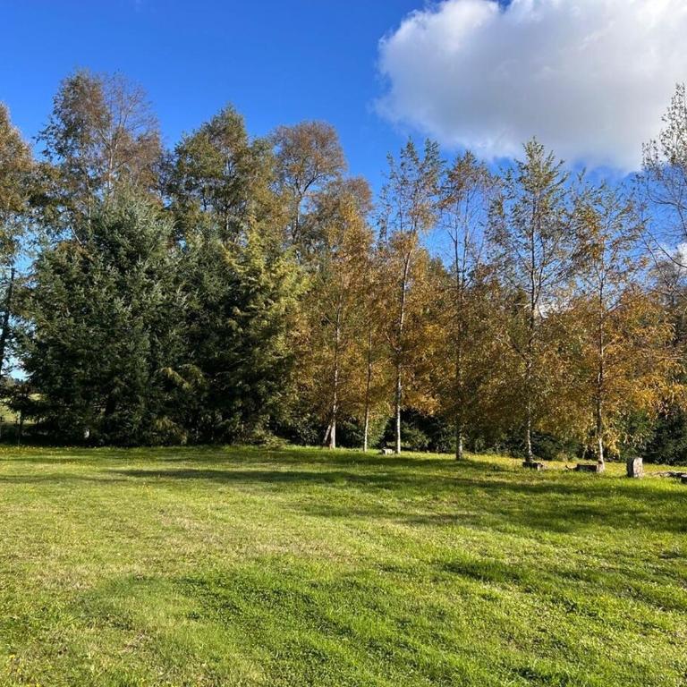Casa Campo Km4 Panguipulli - Three-Bedroom Apartment - 41