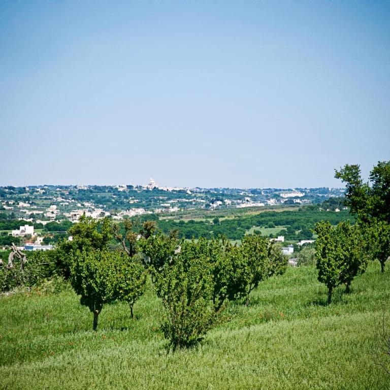 Trulli Il Castagno - Casa Trullo con 2 Camere da Letto e Vista Giardino - 9