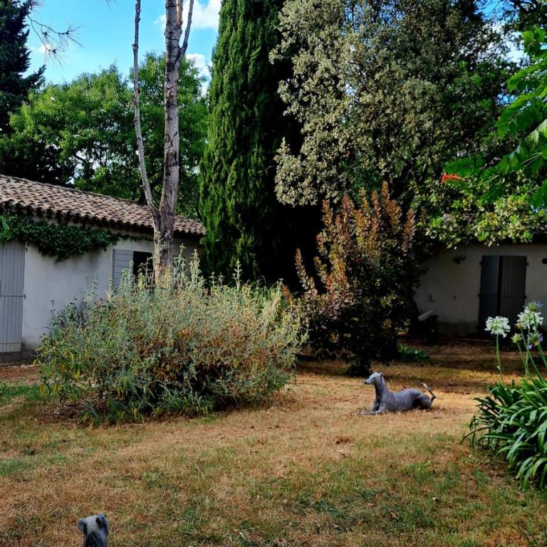 Villa d'antiquaire Heure bleue - 160 m2 Suites et Jardin à 10 mn à pied du centre d'Uzès - Villa - 29