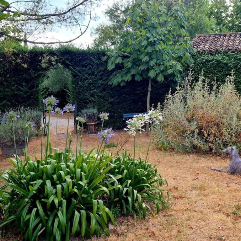 Villa d'antiquaire Heure bleue - 160 m2 Suites et Jardin à 10 mn à pied du centre d'Uzès - Villa - 28