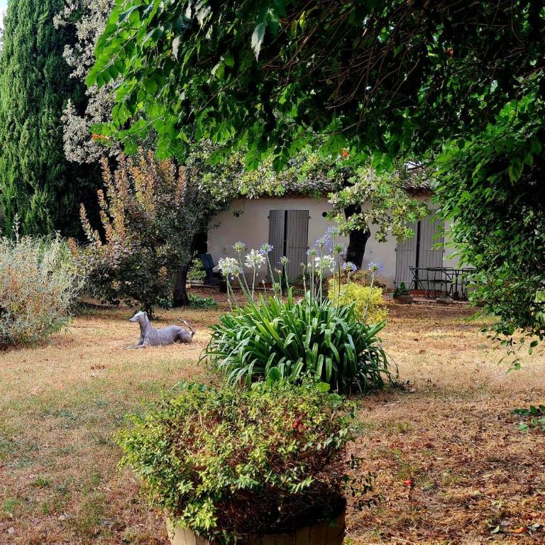 Villa d'antiquaire Heure bleue - 160 m2 Suites et Jardin à 10 mn à pied du centre d'Uzès - Villa - 27