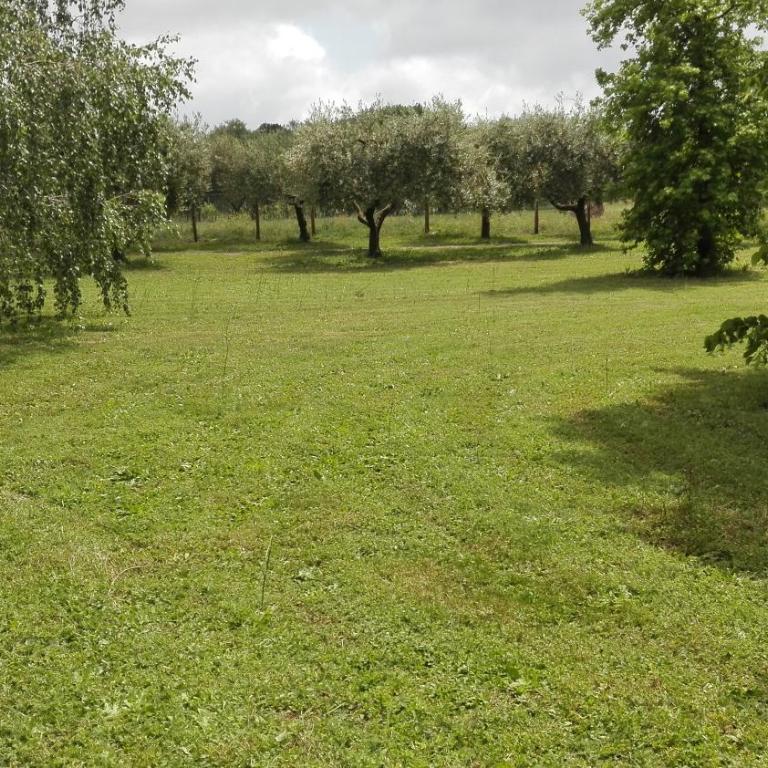 Villa Chiara - Casa Vacanze - 15
