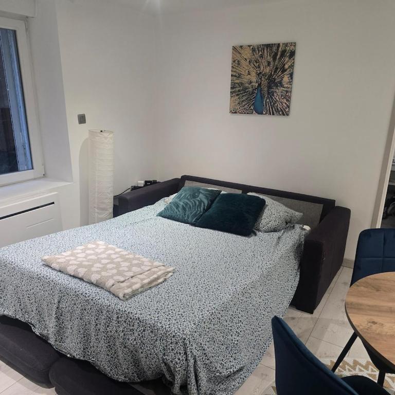 Nid du Paon - T2 Hypercentre - Appartamento con 2 Camere da Letto - 8