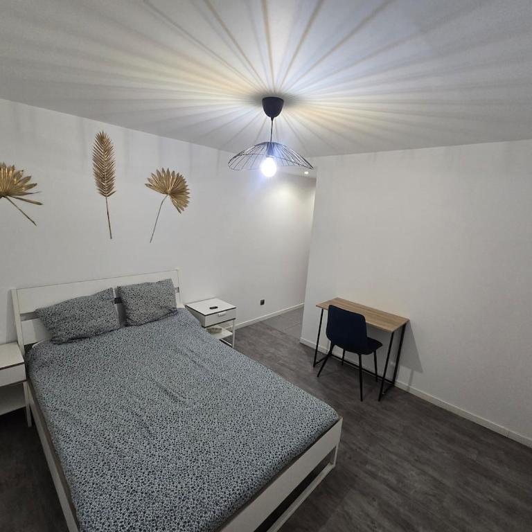 Nid du Paon - T2 Hypercentre - Appartamento con 2 Camere da Letto - 10