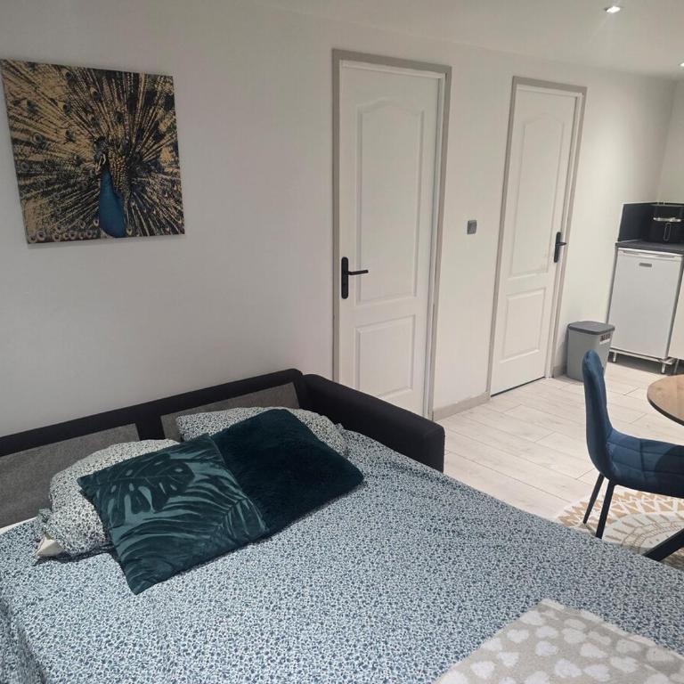 Nid du Paon - T2 Hypercentre - Appartamento con 2 Camere da Letto - 12