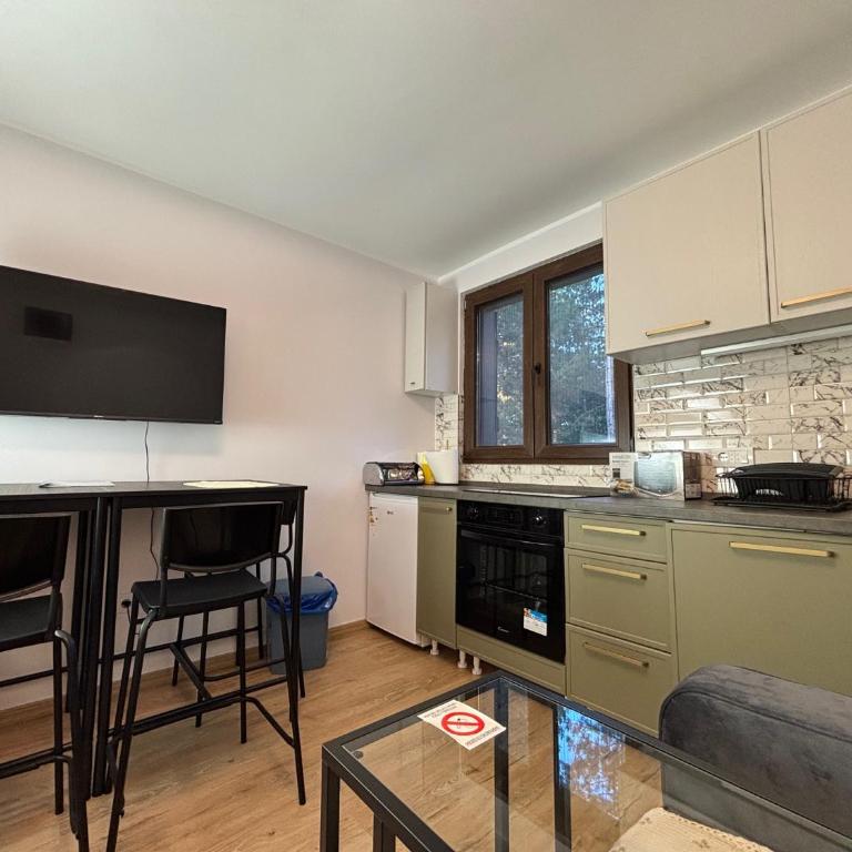 Vila Limun - Apartman s 1 Spavaćom Sobom i Terasom - 10