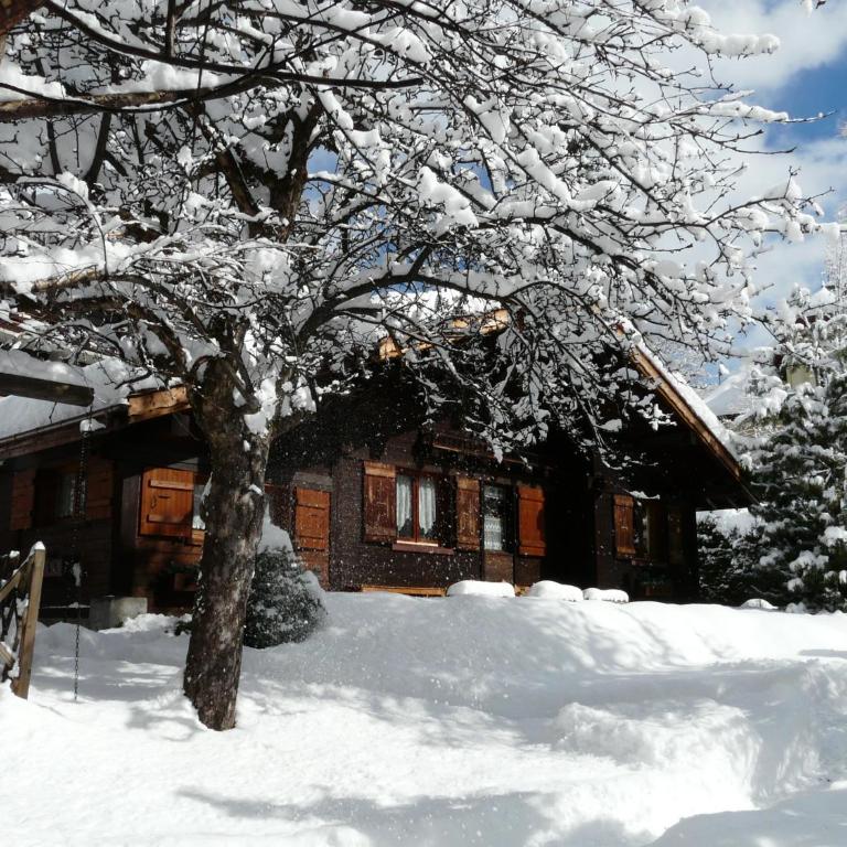 Chalet des Glaciers - Three-Bedroom Chalet - 14