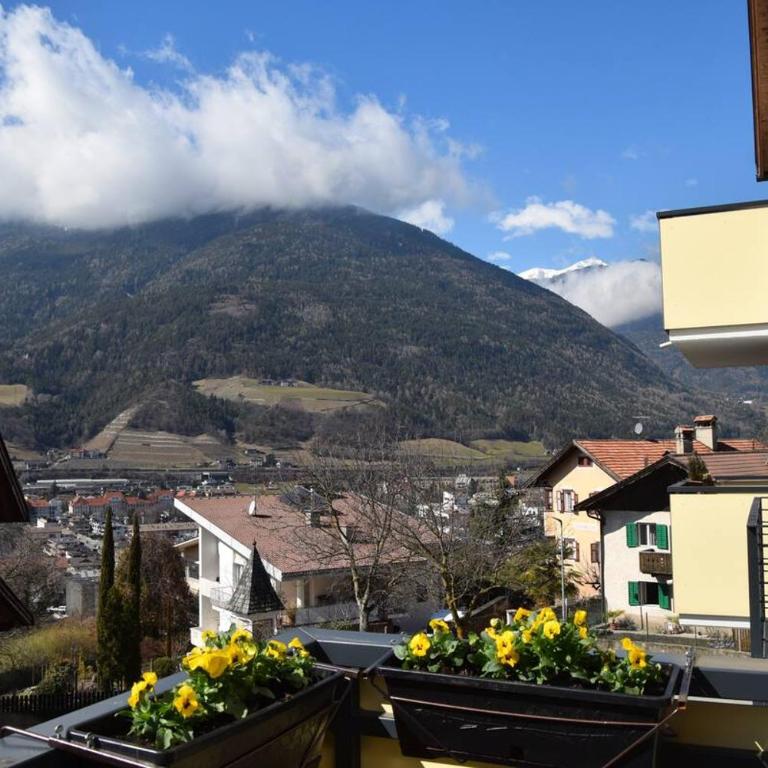 Appartamento Delizioso - Appartement 1 Chambre - 4