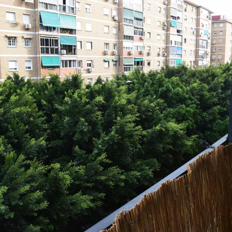 Bueno, bonito y barato - Apartment with Balcony - 16