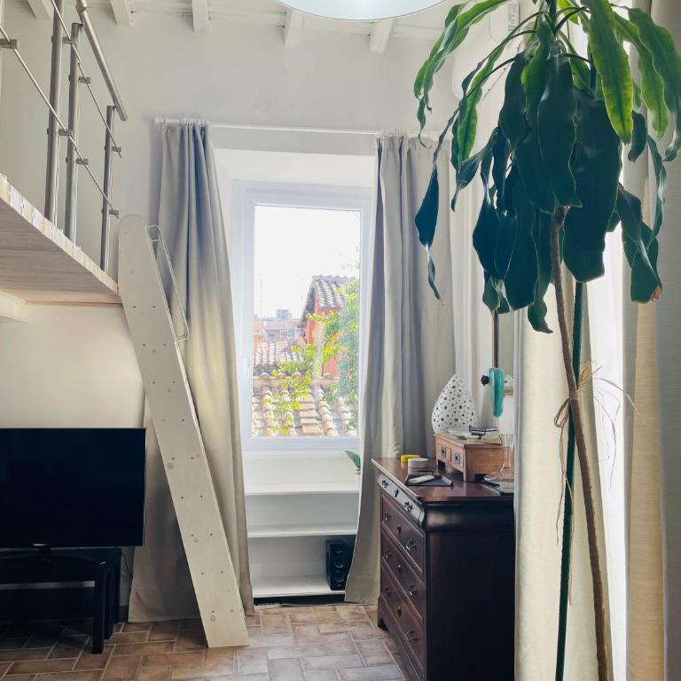Silent Oasis of Trastevere - Appartamento con 1 Camera da Letto - 12