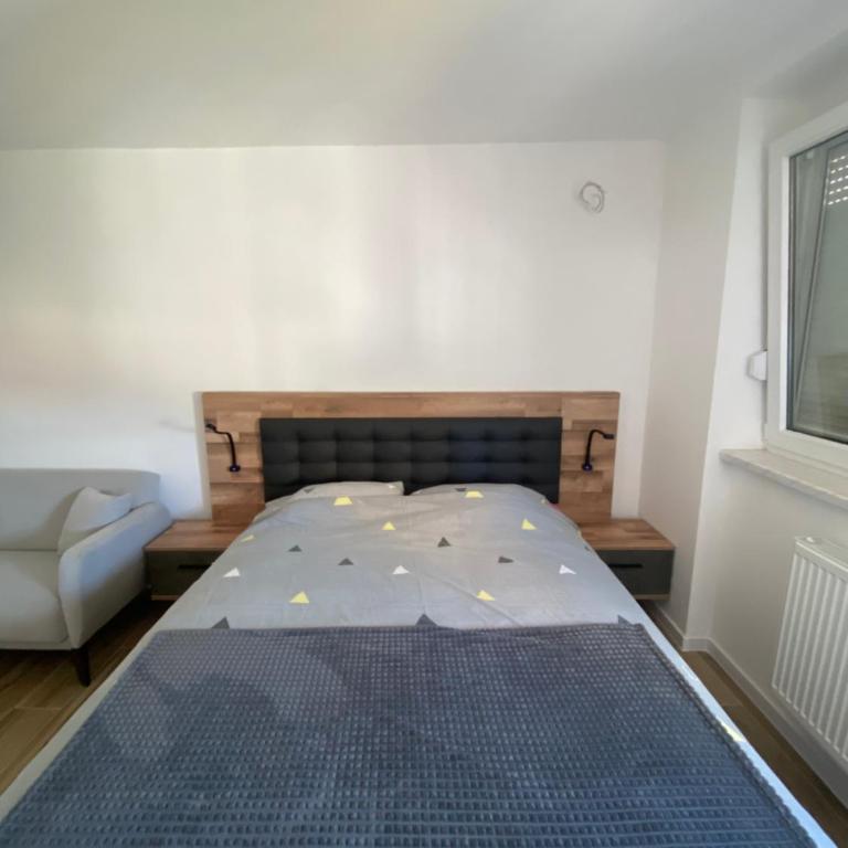 IN Apartment - Appartement 1 Chambre - 7