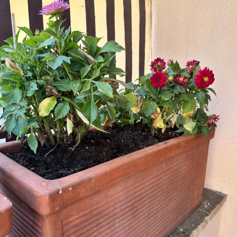 Pace Blu Roma - Appartamento con 2 Camere da Letto - 15