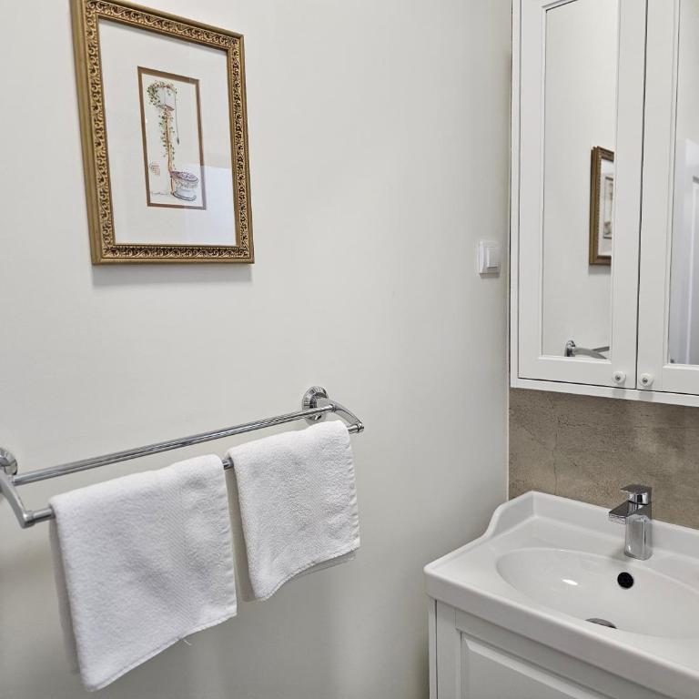 Belgrade Luxury Suite 23 - Apartman sa 1 Spavaćom Sobom - 12