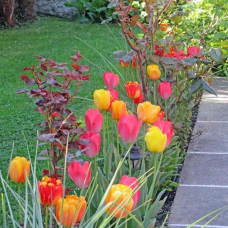 Nago-Torbole Apartment Garden - Apartment - 11