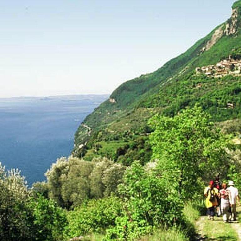 schöne Ferienwohnung mit herrlichem Blick zum Gardasee - Appartamento - 21