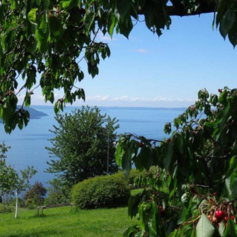 Tignale - Appartement VISTA BLU 107 - Ferienwohnung am Gardasee mieten - Appartamento - 12