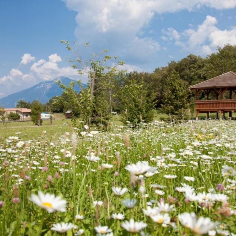 ANTICO BORGO PRABIÙ Appartement Hegos - Appartamento Deluxe con 4 Camere da Letto - 43