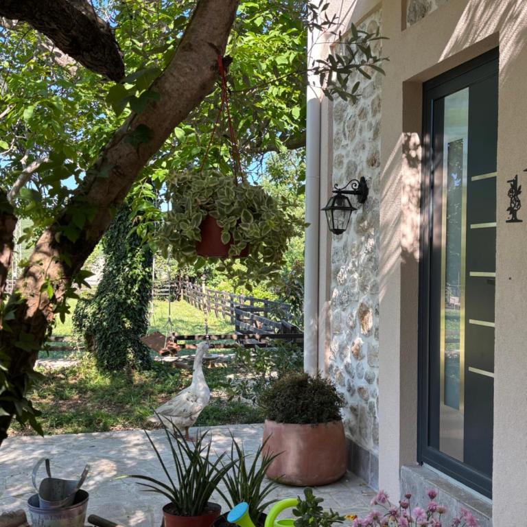 Green Ranch Stara Maslina - Apartman s 1 Spavaćom Sobom i Vrtom - 3