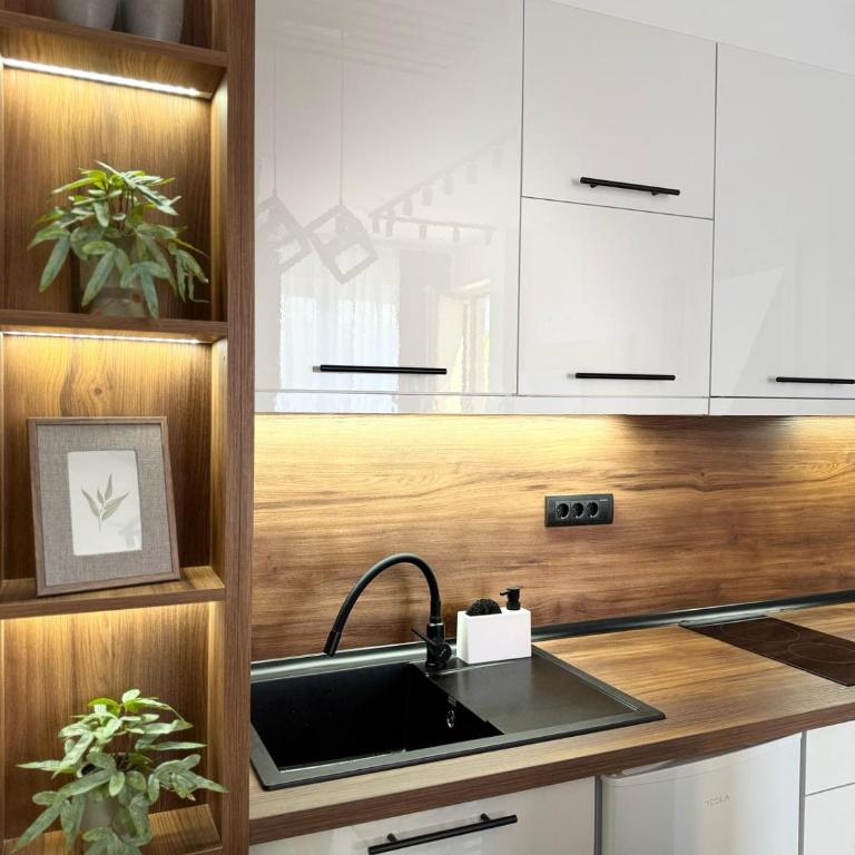 Divchinest - Apartman sa 1 Spavaćom Sobom - 24