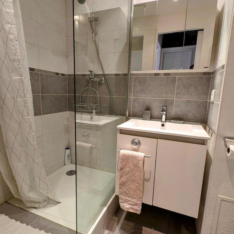 T2 Climatisé Vue Mer Exceptionnelle Accès Plage - Appartement 1 Chambre - 10