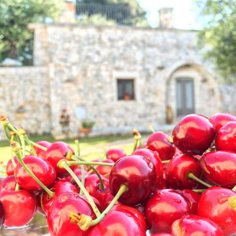 La Corticella Bed & Breakfast - Trullo - 13