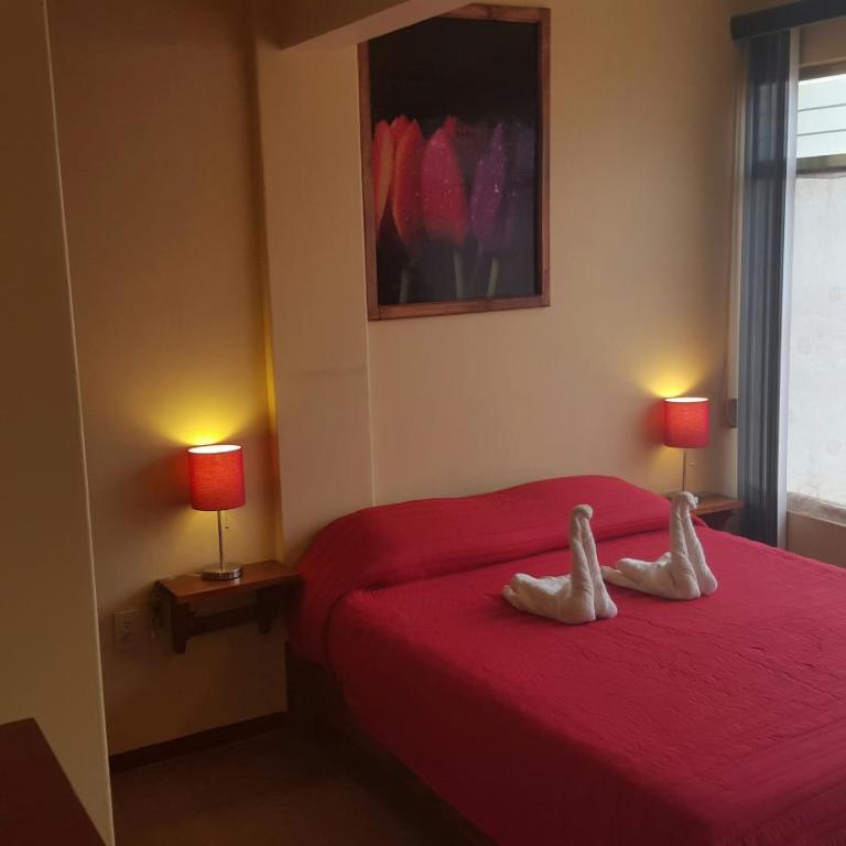 Hotel Florida Oaxaca - Habitación - No fumadores - Cama grande - 6