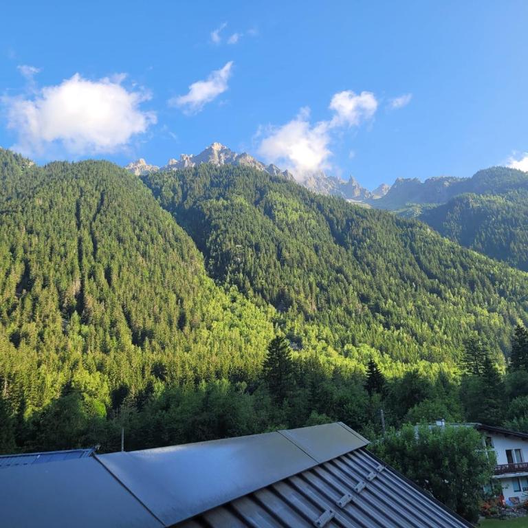 Le Top des Praz - Apartment mit 2 Schlafzimmern - 11