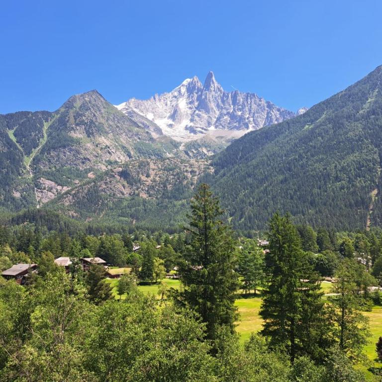 Le Top des Praz - Apartment mit 2 Schlafzimmern - 33