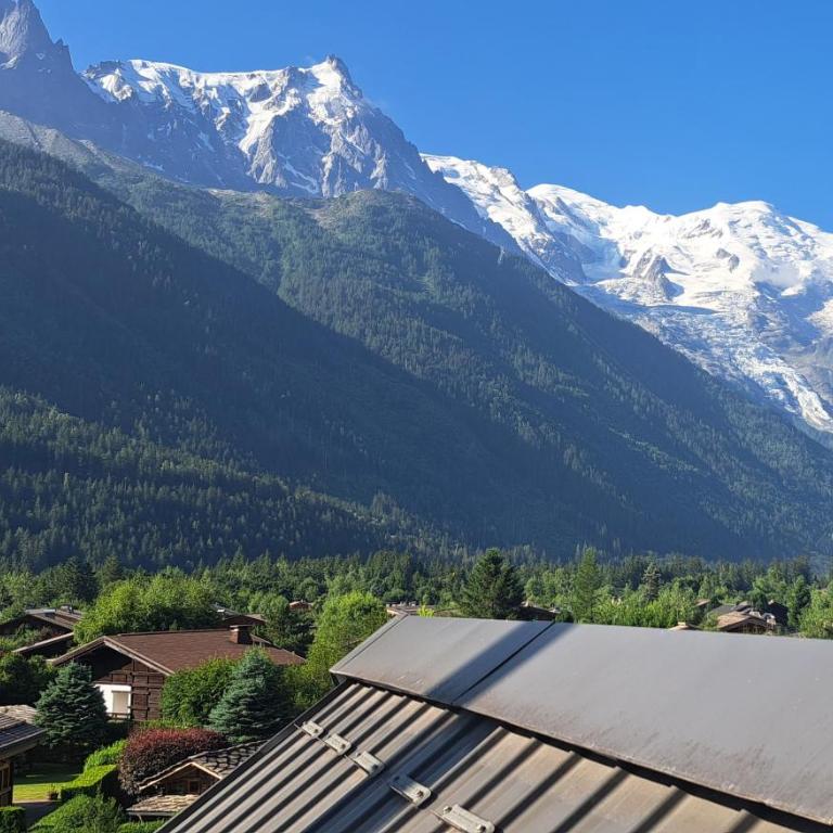 Le Top des Praz - Apartment mit 2 Schlafzimmern - 1