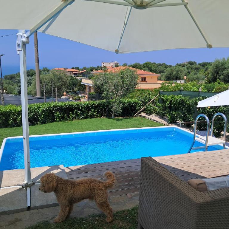 Casa Calipso - Appartamento con 2 Camere da Letto - 4
